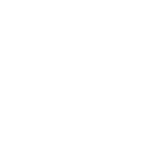 Logo de DS Clothing