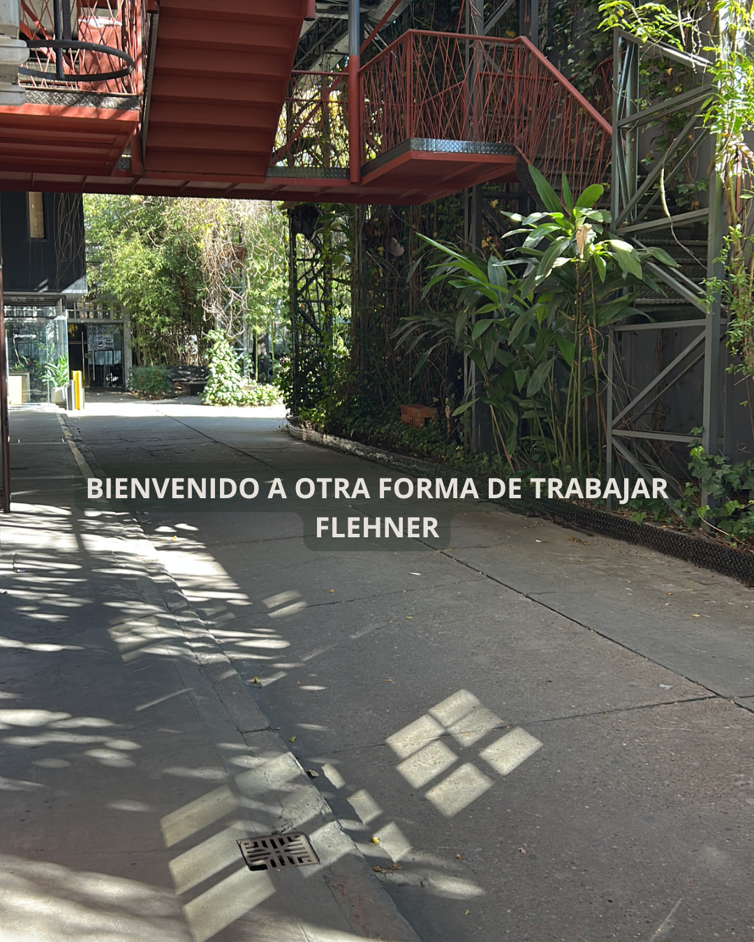 Placa destacada 2 del carrusel de Flehner